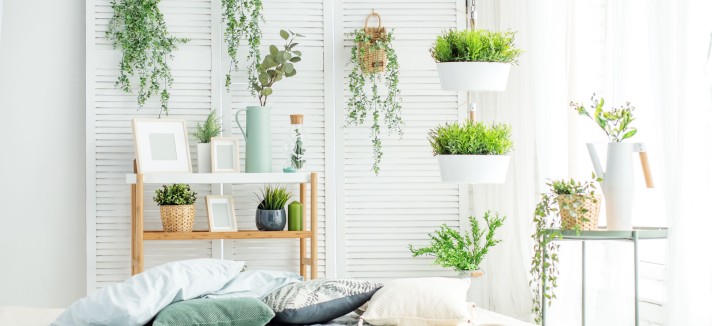  Quais as melhores espécies?