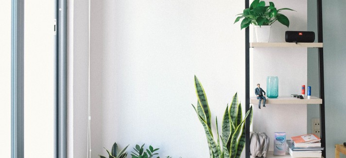  Espada de São Jorge