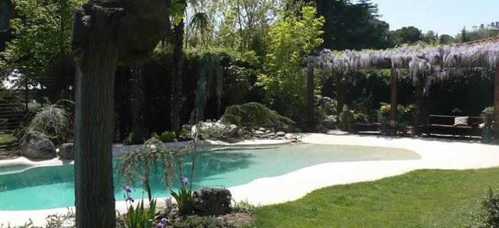 Jardim com piscina