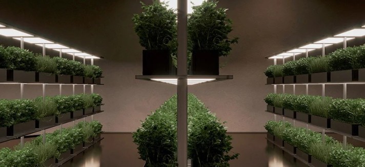 Zonas verdes