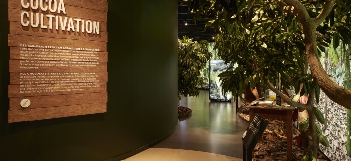 O mundo do cacau