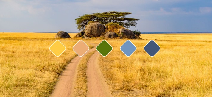 6. Serengeti National Park (Tanzânia)