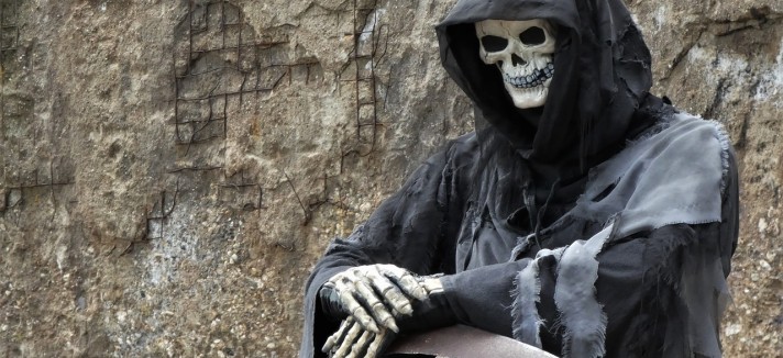 Não esqueças o jardim