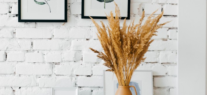 alexandra-gorn-w5dsm9n6e3g-unsplash