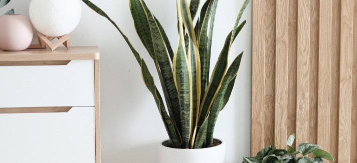 minh-pham-mbsresz2wnm-unsplash