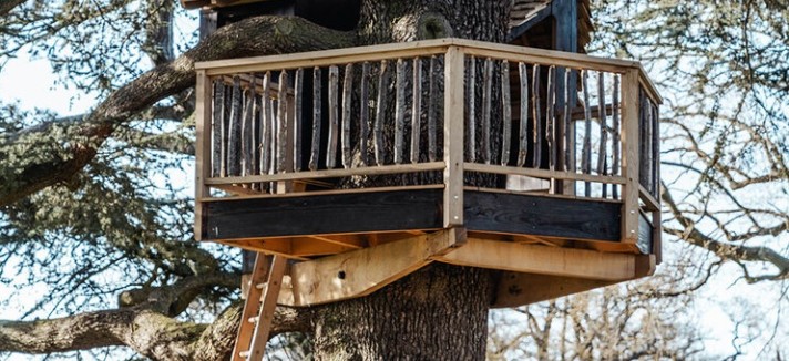 casa_arbol1