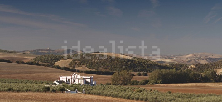 Comprar um palacete de luxo
