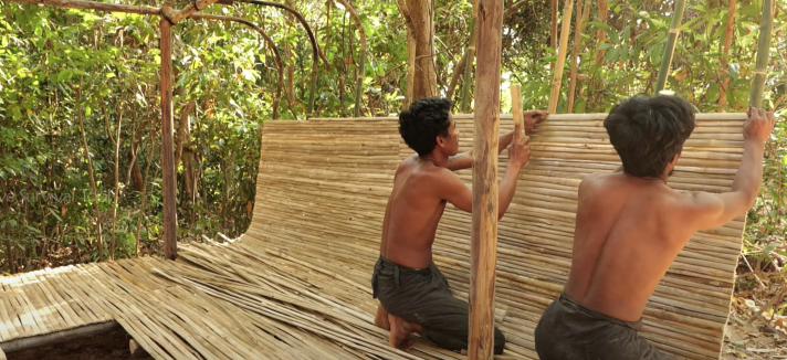 Casas no meio da selva