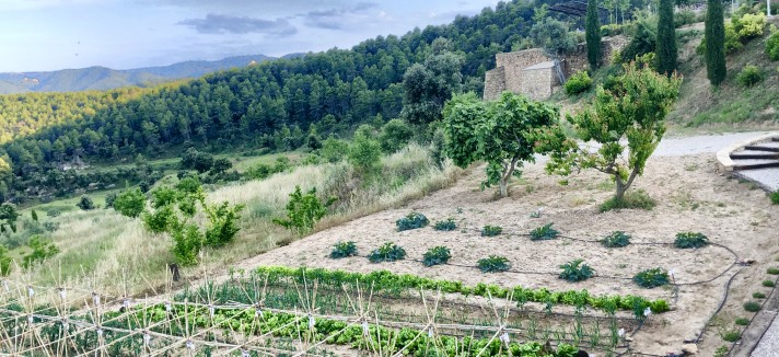 huerto_4