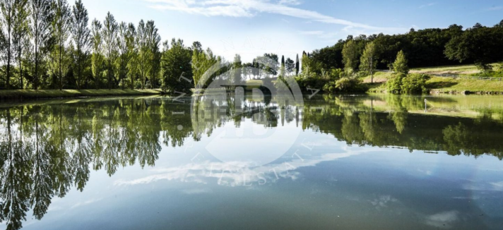 Casas de luxo à venda