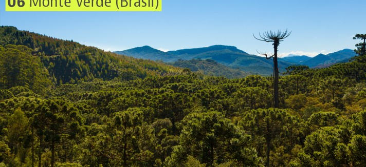 Monte Verde no Brasil