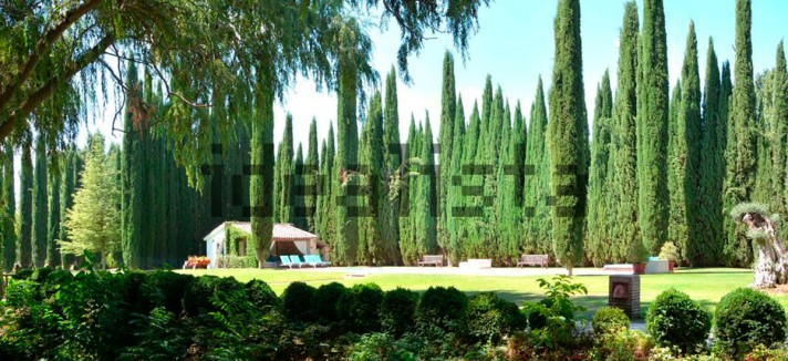 Casas de luxo com jardim