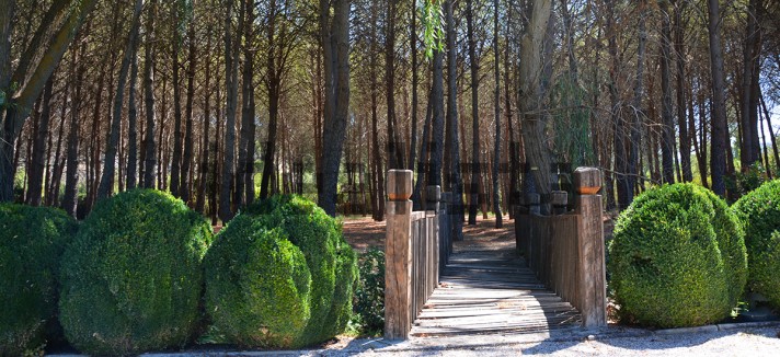 Mansões espetaculares