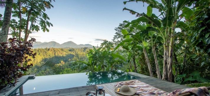Buahan Banyan Tree Escape 