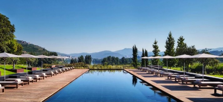 Hóteis para animais de estimação