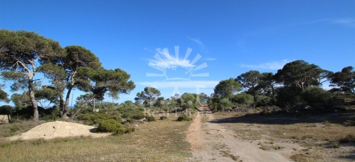 Terreno à venda