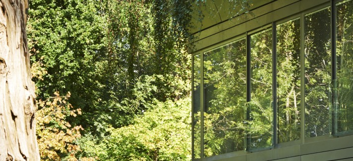 casa PATH