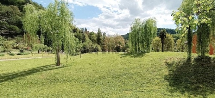 colinas de Prosecco