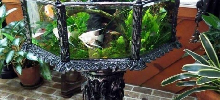 Uma mesa ou uma floresta