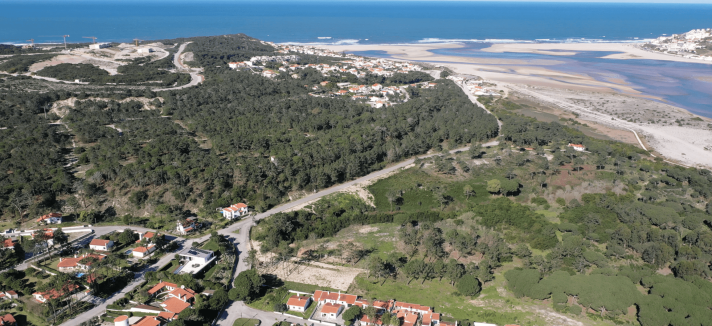 Negócios imobiliários com leilões