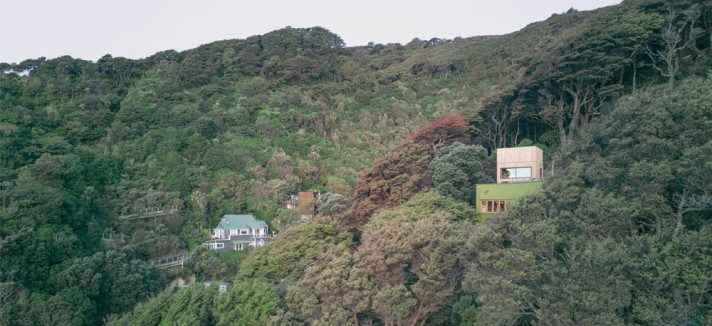 casa na árvore