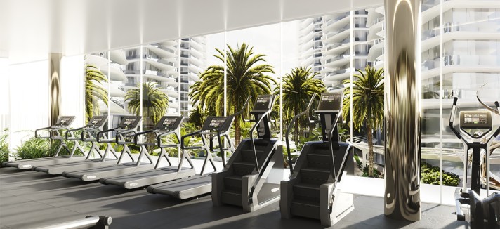 Casas de luxo com ginásio