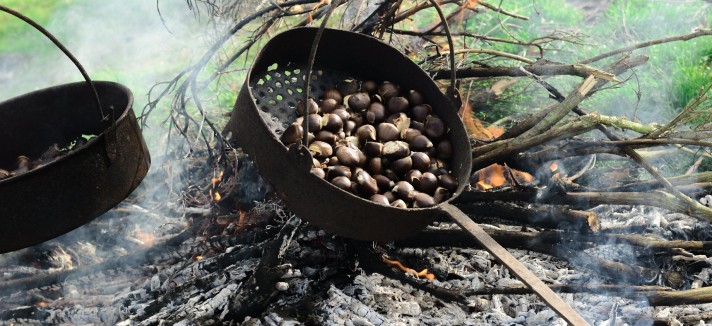 Aktivitäten in Portugal im Oktober
