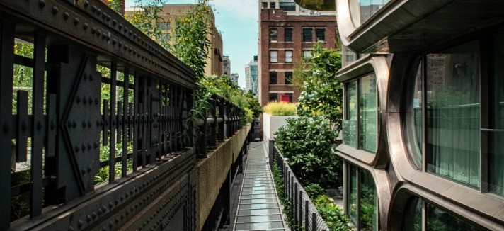 La organización Friends of the High Line se fundó con el objetivo de transformar aquella vía oxidada en un jardín público elevado.