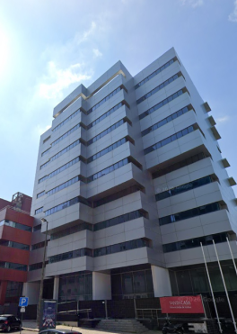 Santa Casa de Lisboa auctions properties.