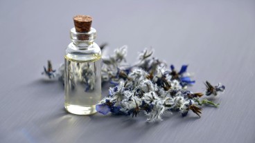 perfume para a casa