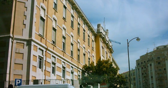 maternidade alfredo da costa e hospital dona estefânia “mudam de rosto” 