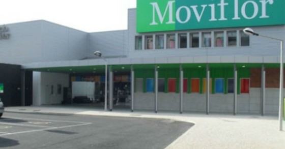 Restruturação da Moviflor prevê despedimento de 325 pessoas 