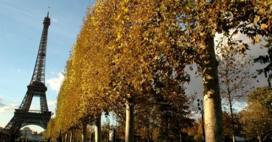 Colecionador português paga 220 mil euros por escadaria da Torre Eiffel