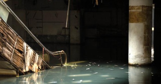 Um centro comercial abandonado converte-se num aquário urbano secreto cheio de peixes (fotos)