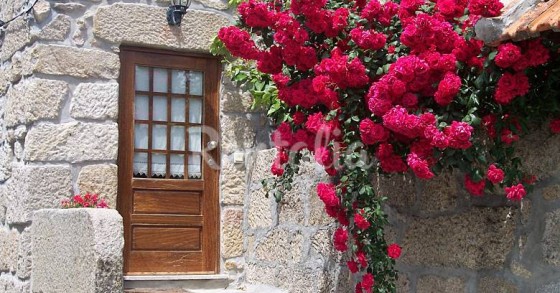 Casas de fim de semana: Paz e sossego num refúgio especial em Vouzela (fotos) 