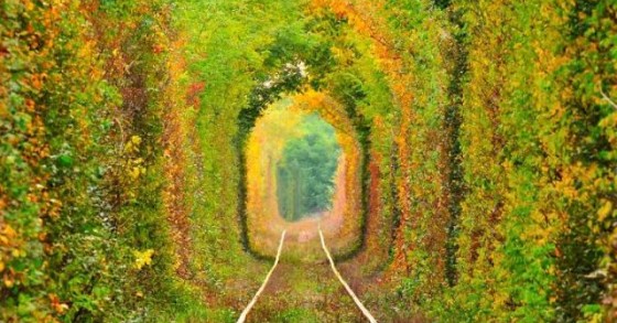 As 15 ruas mais mágicas do mundo à sombra de flores e árvores (fotos) 