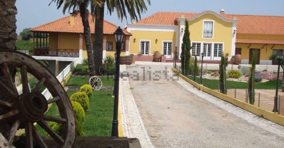 As casas da semana (de 23 a 27 de fevereiro de 2015)