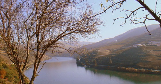 Hotéis no Douro a duas velocidades: falências e novos investimentos marcam a zona norte