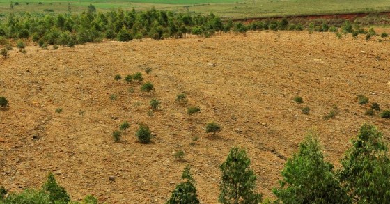Terrenos abandonados vão ser tomados pelo Estado (guia para entenderes como e quando...)