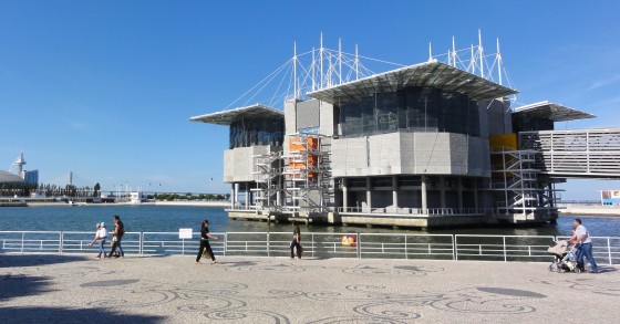 Oceanário de Lisboa fica nas mãos do dono do Pingo Doce