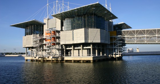 Espanhóis do Aspro Parks na corrida ao Oceanário de Lisboa