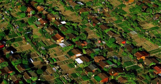 O bairro suíço onde cada família tem a sua própria horta (fotos) 