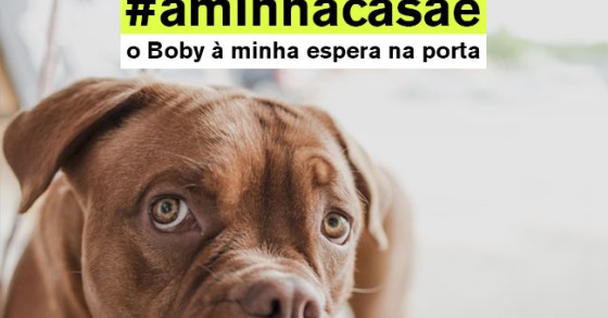#aminhacasaé: a nova campanha do idealista quer saber o que torna a tua casa única