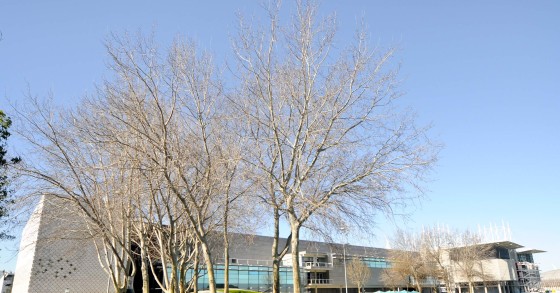 Escritórios: Nove edifícios na Quinta da Fonte vendidos por fundo alemão a joint venture