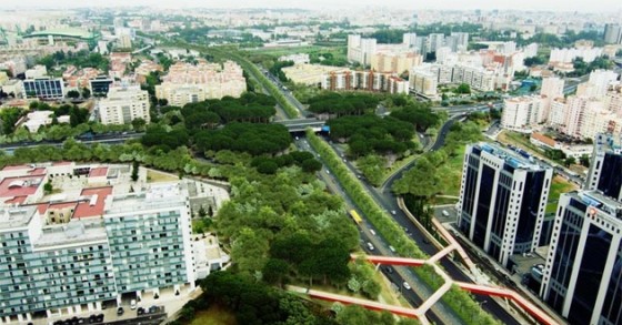 Lisboa: requalificação da Segunda Circular que vai custar 10 milhões de euros está em consulta pública