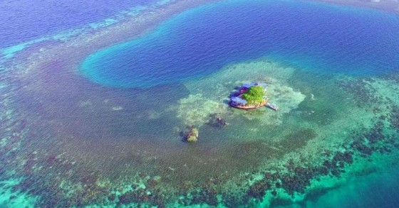 Bird Island: Dormir numa ilha que fará com que te sintas um náufrago do século XXI 
