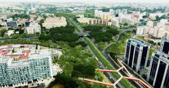 Lisboa: obras na Segunda Circular passam a custar 13 milhões mas vão demorar menos tempo 