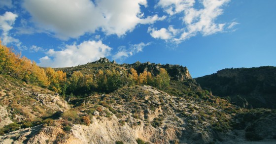 Estado encaixa menos de um milhão de euros com Bolsa Nacional de Terras