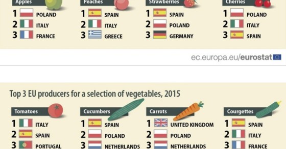 Portugal foi o terceiro maior produtor de tomate da UE em 2015 