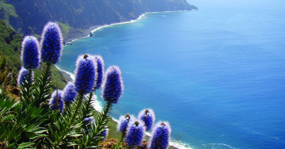 Promotor imobiliário da Madeira acusado em tribunal por enganar investidores britânicos